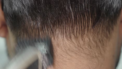 close-up of a man's head and neck, back of head