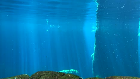 underwater view of fish swimming through beautiful blue water with sun rays and rocks in the background