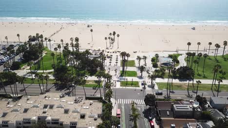 aerial view above los angeles palm tree beach waterfront neighbourhood property rooftops dolly left