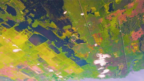 paisaje de campo de humedales verdes, concepto de órbita terrestre giratoria