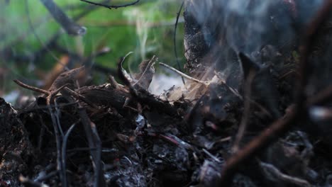 close up of smoke from land burning ultra HD