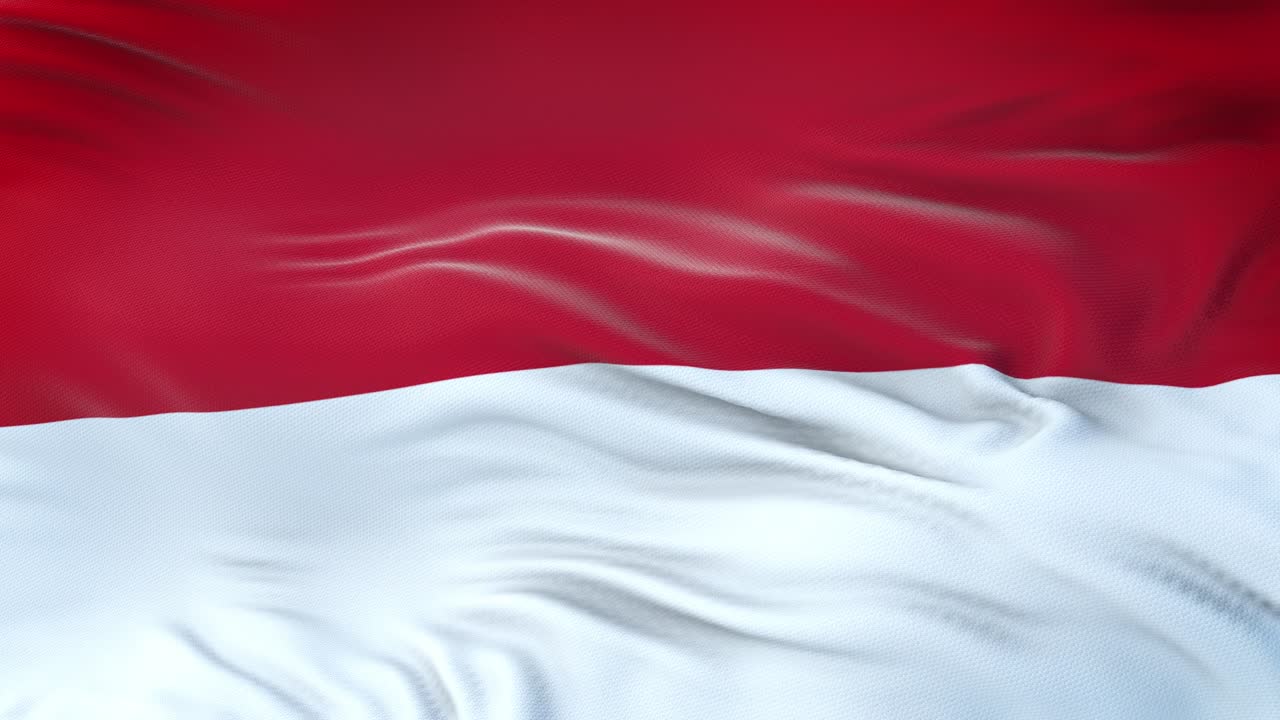 모나코의 발이 바람에 흔들리며 매우 상세한 직물 질감으로 여 있습니다.