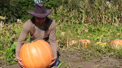 a young farmer flaunts a large grown pumpkin in his field agriculture in the usa a young farmer flaunts a large grown pumpkin in his field agriculture in the usa