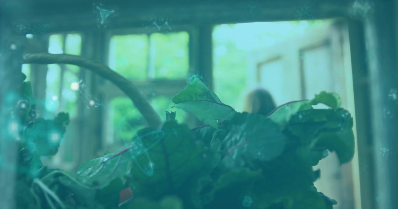 Gardener pausing at glass door initiating focusing on dew-speckled leaves highlighting droplets