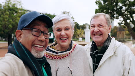 Ältere-Freunde,-Selfie-Und-Lächeln-Im-Freien-In-Einem-Park