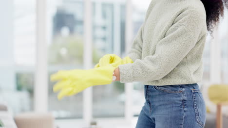 rubber gloves, cleaning and hands protection by