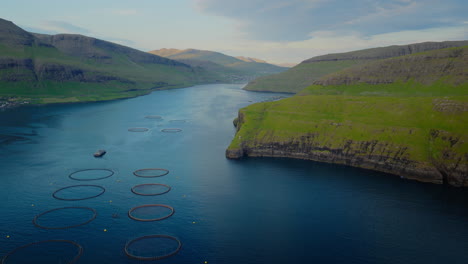 aerial view of aquaculture fish farms in a scenic fjord with green mountains
