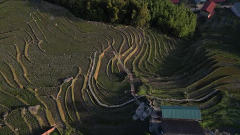 Aerial-drone-shot-of-villages-amidst-bright-green-rice-terraces-in-the-mountains-of-Sapa,-Vietnam