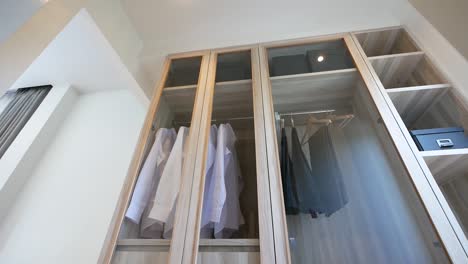 modern and simple see through wardrobe design