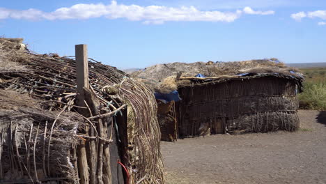 authentic maasai tribe hut shelters from mud and wood, african savannah. primitive lifestyle
