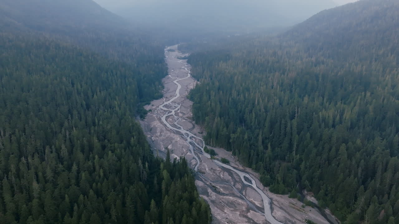 imágenes aéreas lentas en la mañana nebulosa de un lecho de río que se encuentra entre un bosque de árboles de hoja perenne en las montañas de la cascada