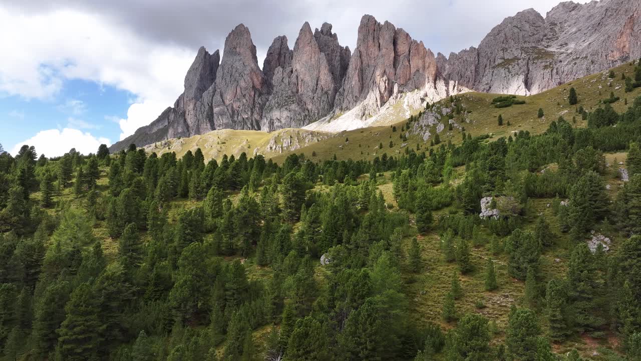 Flight along a slope covered with pine trees. In the background, a view of the Seceda Ridgeline