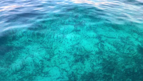 Clip-of-the-underwater-of-the-blue-ocean-in-Florida-Keys,-USA,-revealing-a-lighthouse-in-the-distance-in-Alligator-Reef