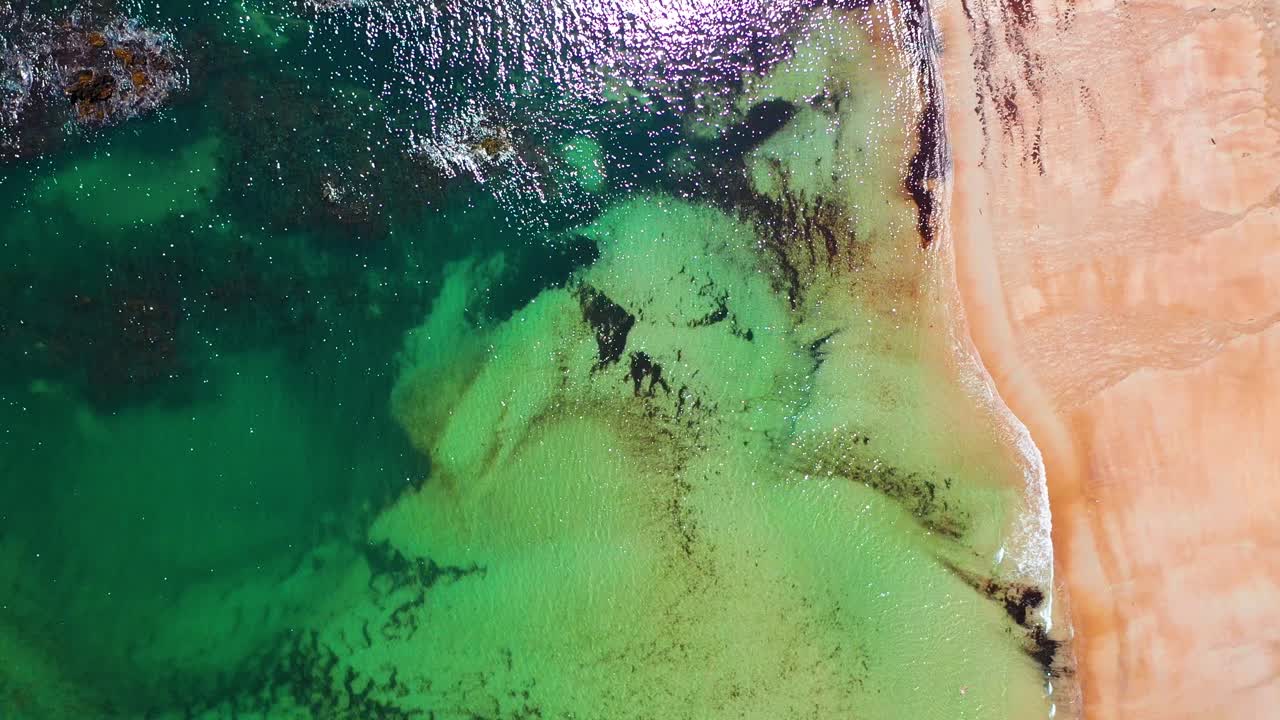 Aerial drone footage bird’s-eye view looking straight down on packed Saco beaches. Vacationers fill the sandy shore near homes as the Atlantic Ocean waves crash along beautiful New England coastline