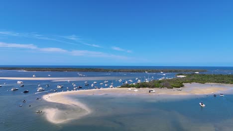 boats gather for australia day festivities