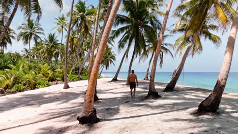 a breathtaking aerial drone view of a man walking on geiymiskih fannu beach at sunset, surrounded by lush palm trees in fuvahmulah, maldives.