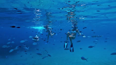 shoal of fish swims close to little girls and woman snorkeling underwater in deep blue sea