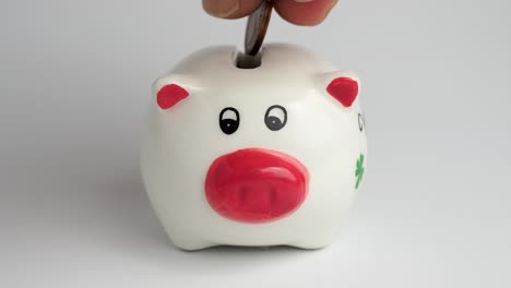 money is put into the piggy bank piggy bank with money