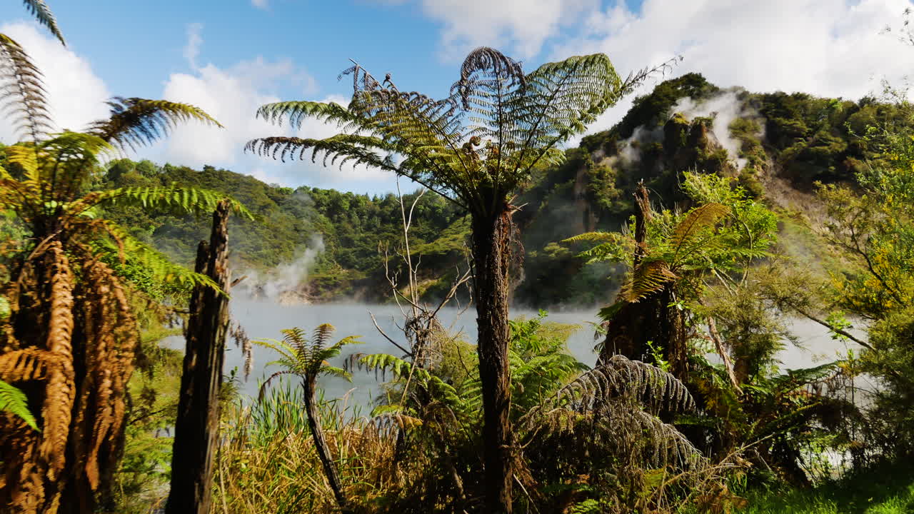 Gerakan kamera maju melewati pohon pakis dan Danau Frying Pan yang mendidih selama hari musim panas di Lembah Retakan Vulkanik Waimangu