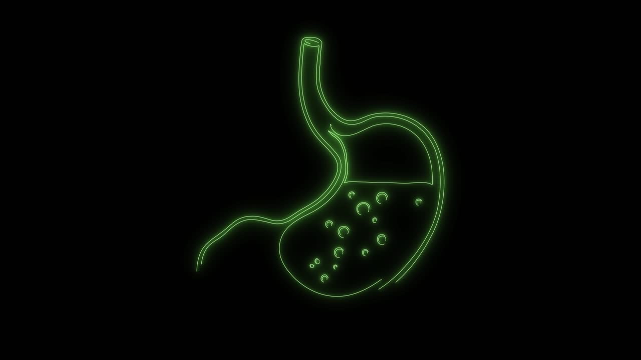 Green Neon Animation of Human Stomach and Digestion Process