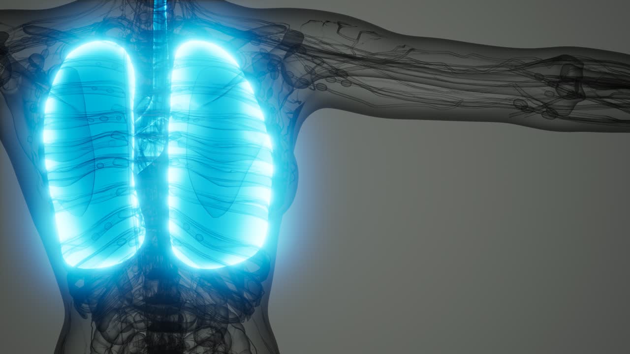 인간의 폐 방사선 검사