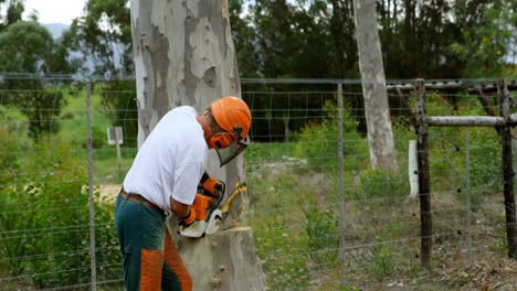 leñador cortando un árbol en el bosque 4k