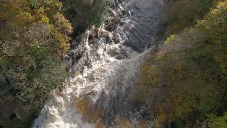 a drone flying directly above a ranging waterfall tilts slowly up to reveal a forest of autumn coloured trees as light catches the foam from turbulent river