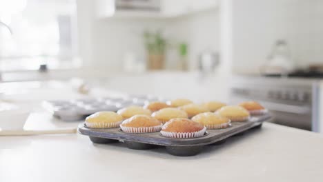 Baking-tray-of-freshly-baked-fairy-cakes-on-counter-top-in-kitchen,-with-copy-space