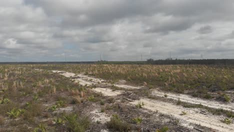 Vasto-Páramo-Campos-De-Hierba-Palmeras-árboles-Muertos-Sendero-De-Arena-Remoto-Rural-Bosque-Nacional-De-Ocala-Florida-Aéreo-Dron-Camiones