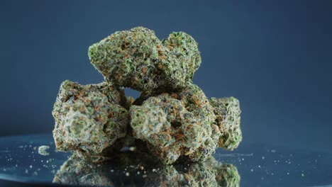 cogollos de marihuana secos de color verde grisáceo - toma conceptual de primer plano, montón de plantas de marihuana secas, cepas de tricomas naranjas, en un soporte giratorio reflectante, luces de estudio, cámara lenta, video de 4k
