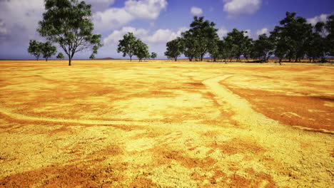 expansive dry landscape with sparse trees under a bright blue sky