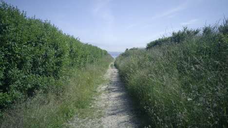 A-small-path-to-the-sea