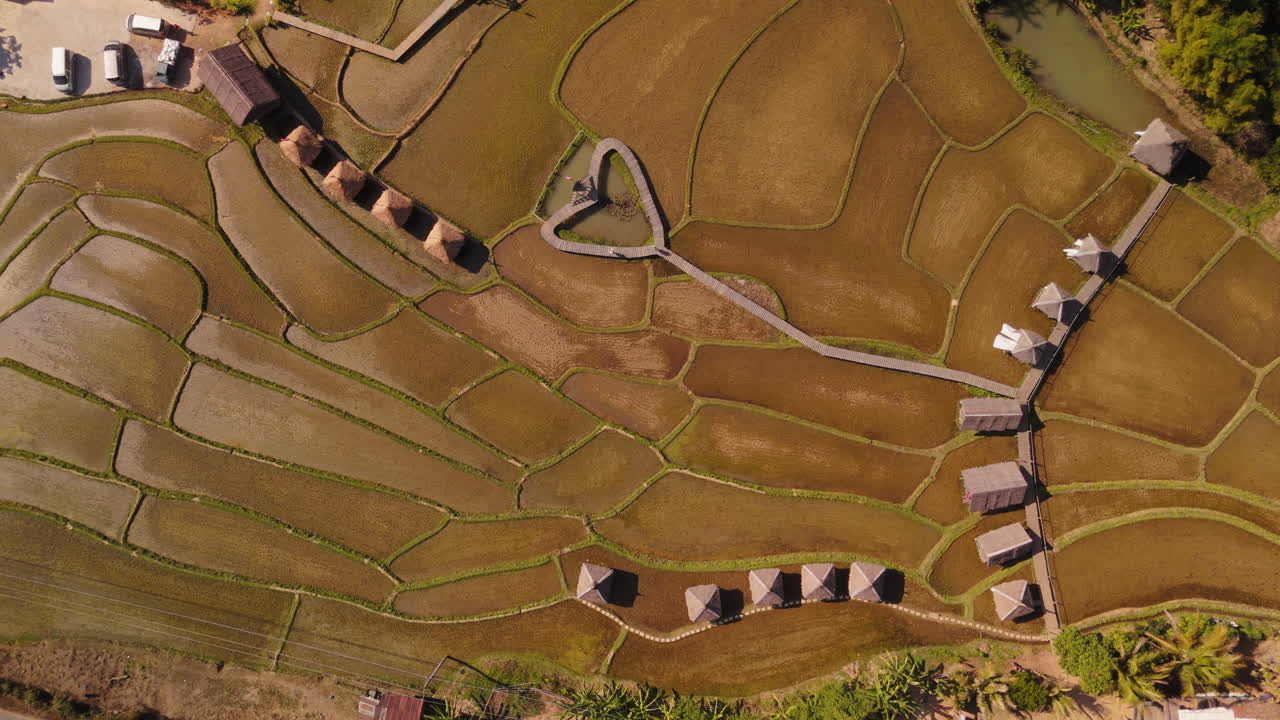 Aerial View of Terraced Rice Paddies with Cabins