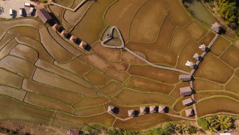 aerial view of terraced rice paddies with cabins