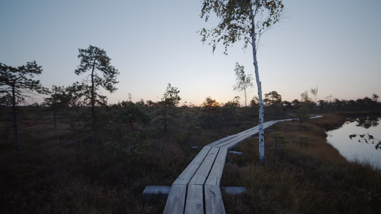 Sunset over a swamp with a wooden boardwalk