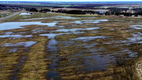 vast landscape of wetlands in kurzeme region, latvia, europe