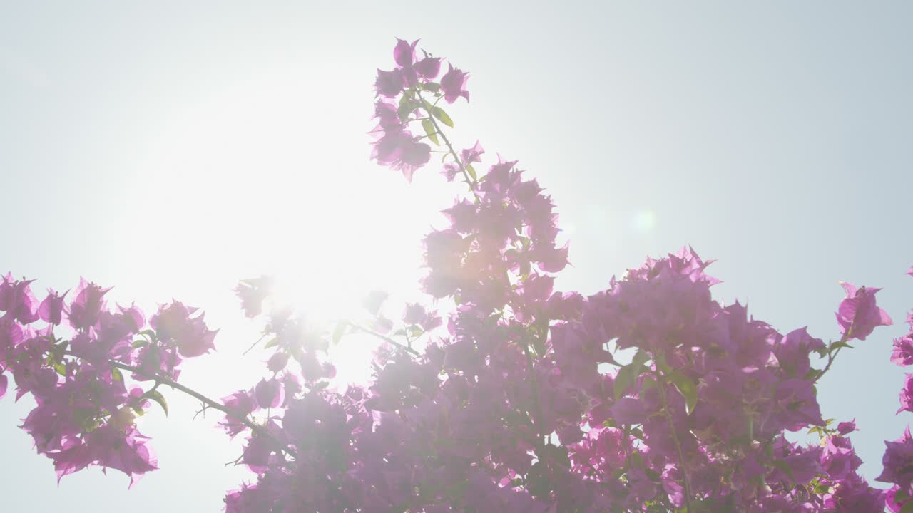 안탈리아 마리나 안탈리아 성