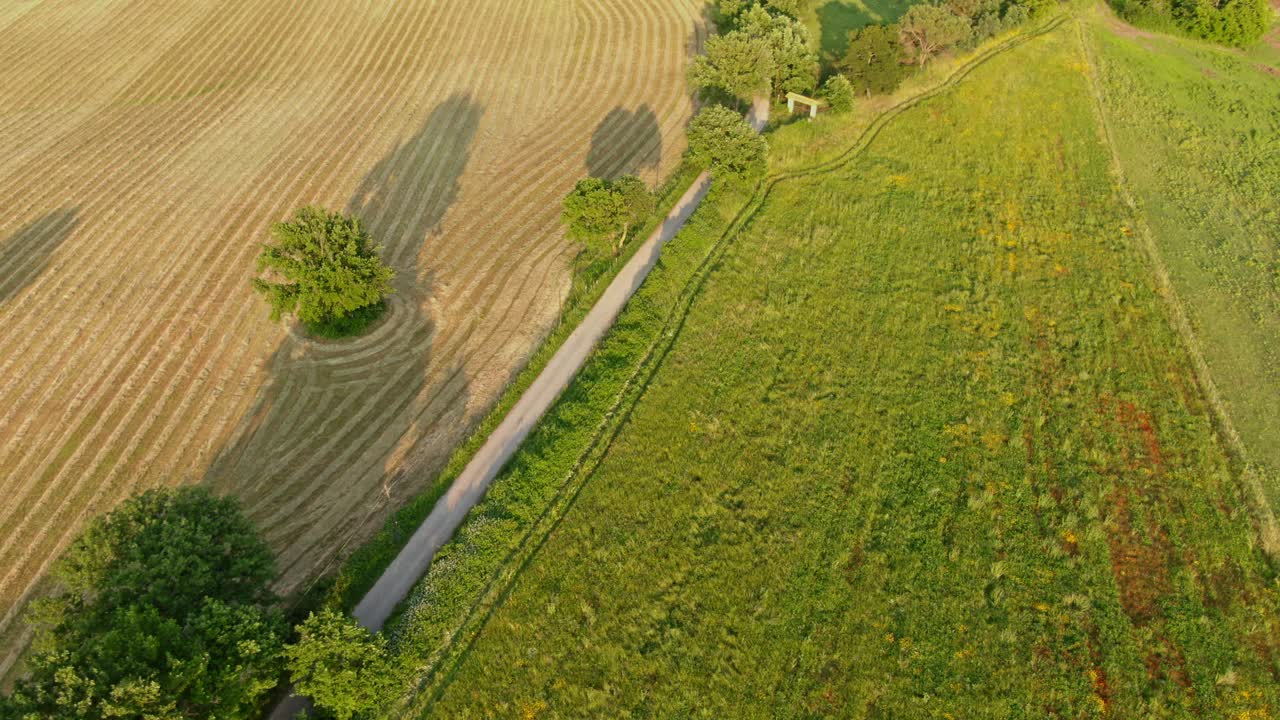 Aerial View Of Road With Forest And Agriculture Crop Field On Sides