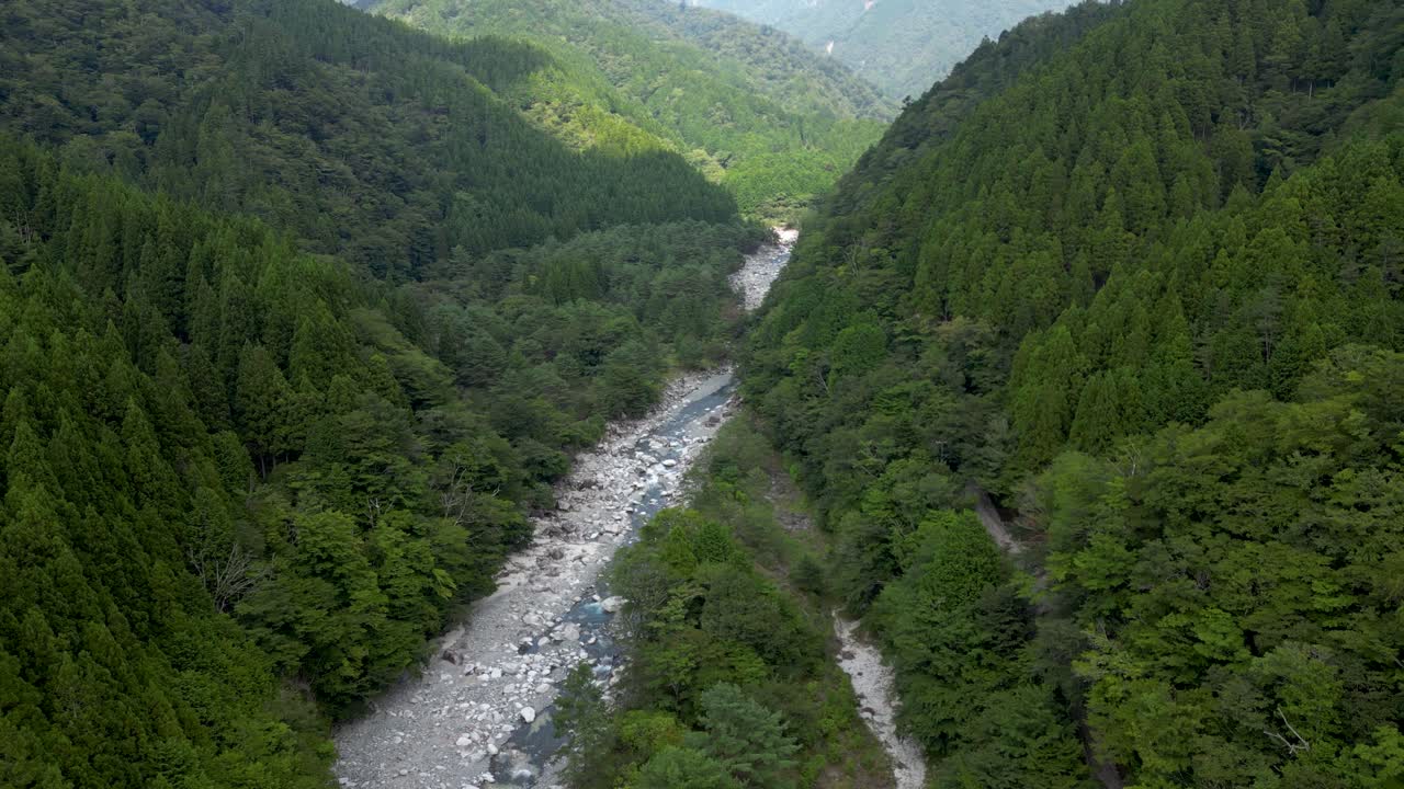 Stunning aerial drone flight above Lush greenery in natural setting with river