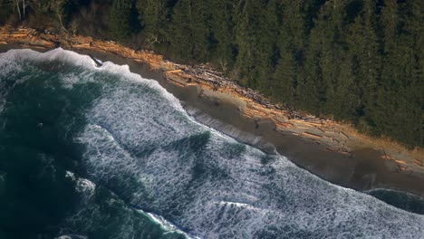 above view of sea foam waves over vancouver island south shores in canada. aerial tracking shot