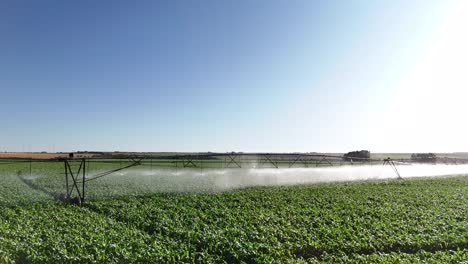 center pivot irrigation system in a lush green field
