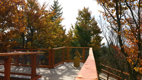 trail in tree tops and view of side of the wooden structure during strong wind in background with moving trees leaves flying around the wooden railing during sunny autumn day in beskids area 4k 60fps