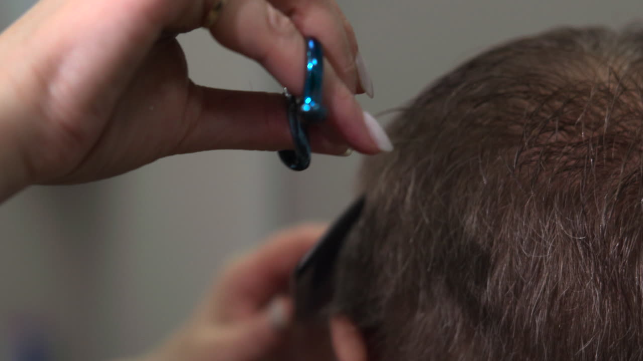 Haircut and Grooming