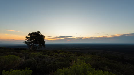 solitary tree on a hilltop at sunset