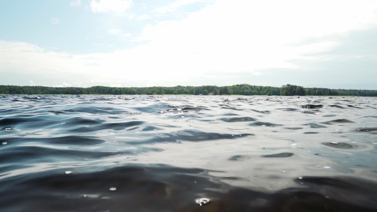 샷 뒤에 숲이 있는 호수 표면의 정적 샷