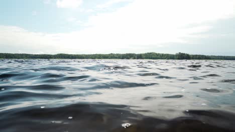 static shot of the surface of a lake with a forest in back of shot