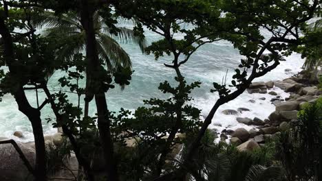 tropical coastline view through trees