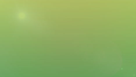 animación de luces desenfocadas que se mueven al azar sobre un fondo verde