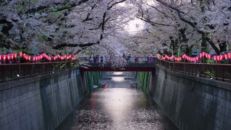 Von-Sakura-Gesäumter-Kanal-Und-Laternen-In-Nakameguro,-Tokio,-Japan