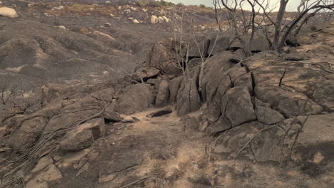 devastated landscape of california after wildfires motion view